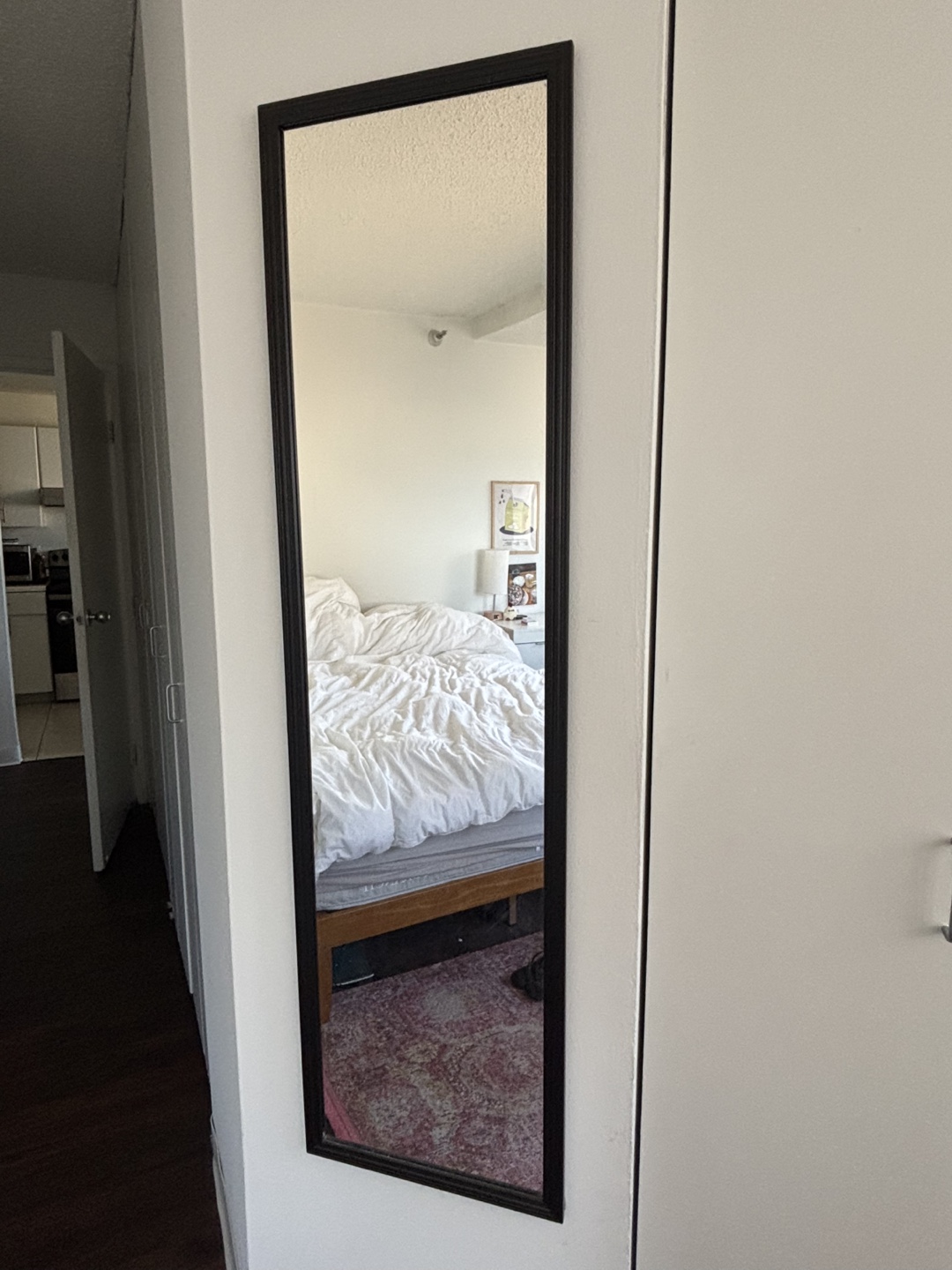 Full Length Mirror - Black & Mint Green Frame - photo 2