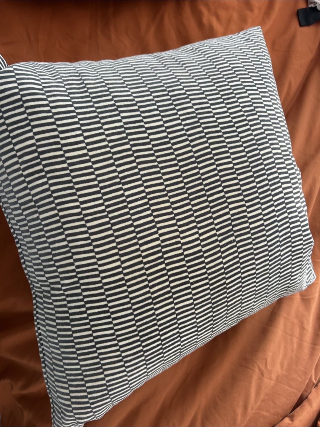 Two Decorative Throw Pillows - Black and White Stripes
