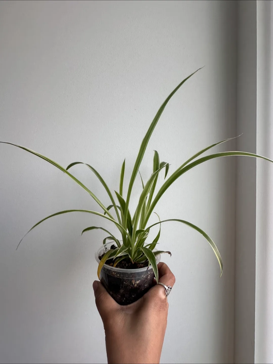 comment article thumbnail