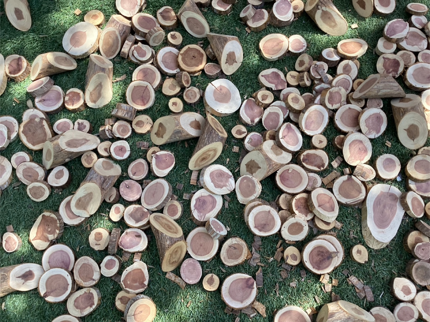 Bushel Basket Full of Wood Rounds !