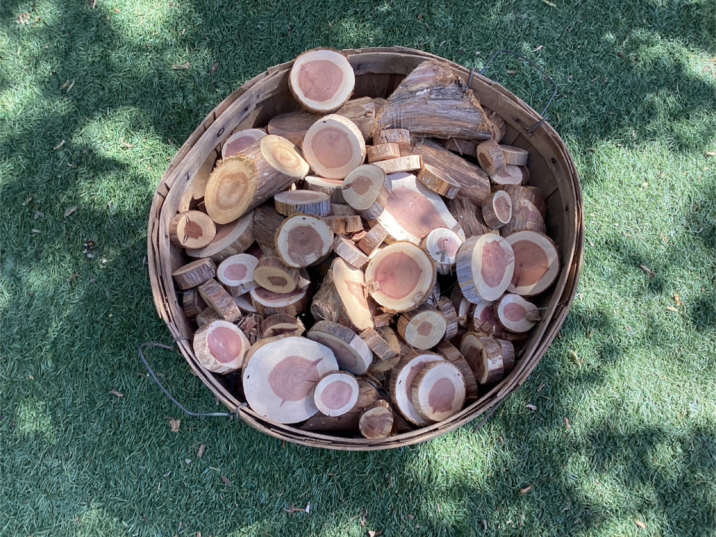 Bushel Basket Full of Wood Rounds ! - photo 2