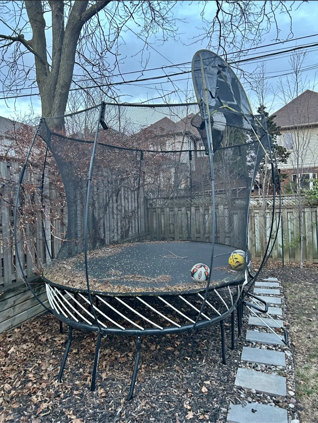 Springfree Trampoline with Basketball Hoop thumbnail