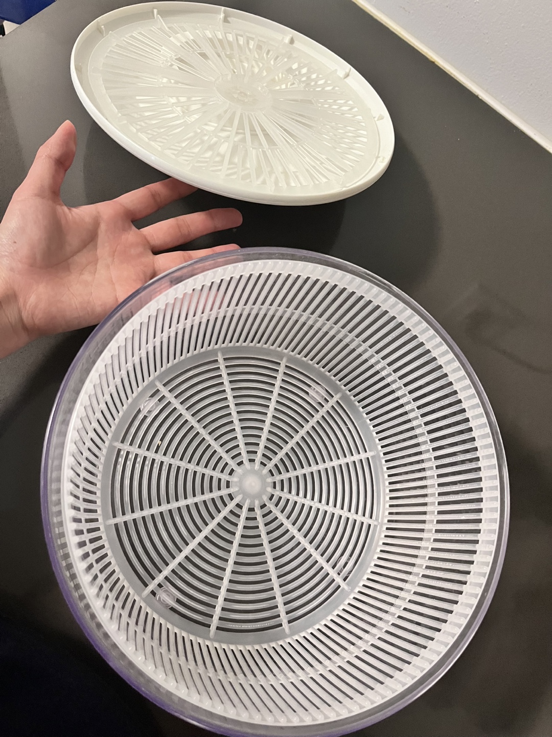 White Salad Spinner - photo 4