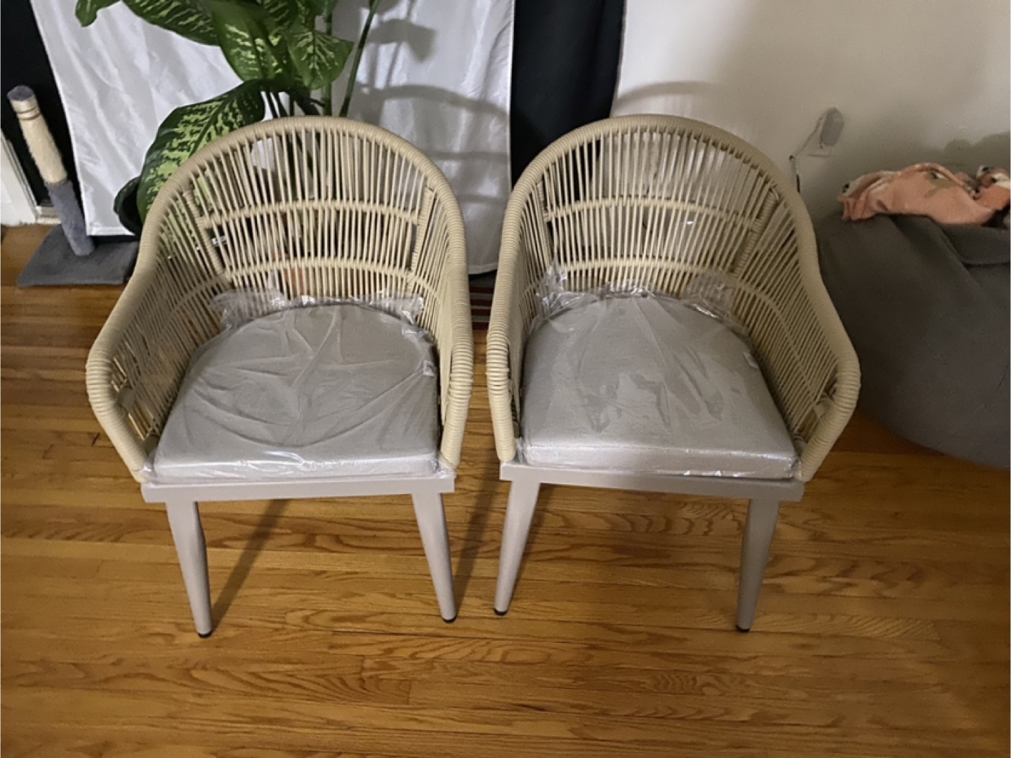 PURPLE LEAF Patio Dining Chairs - Set of 2