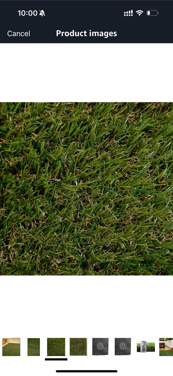 Artificial Turf - Outdoor Carpet - photo 2