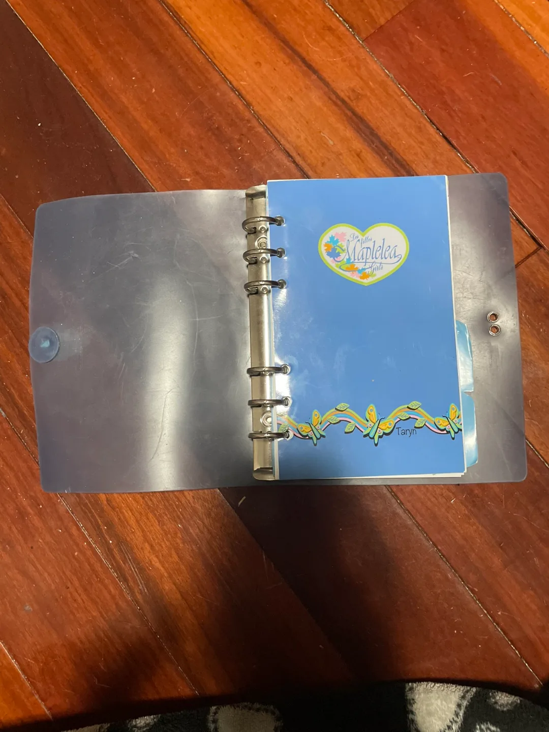 Maplelea Girls' Diary thumbnail