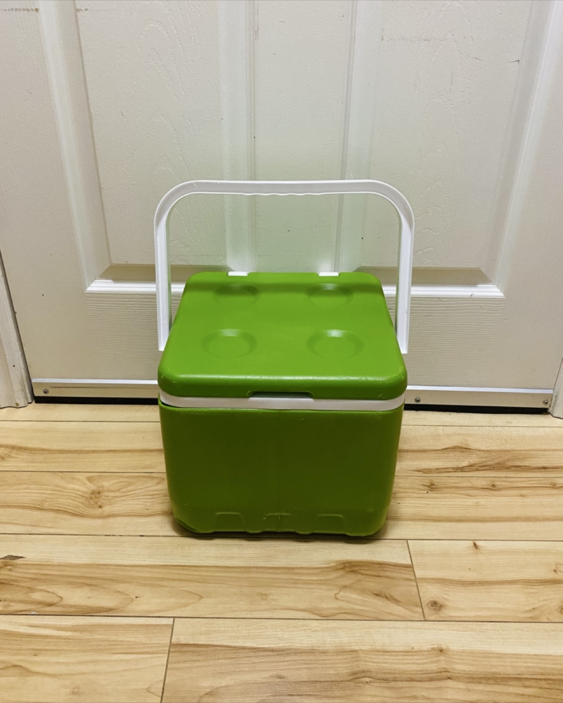 Small Cooler - photo 4