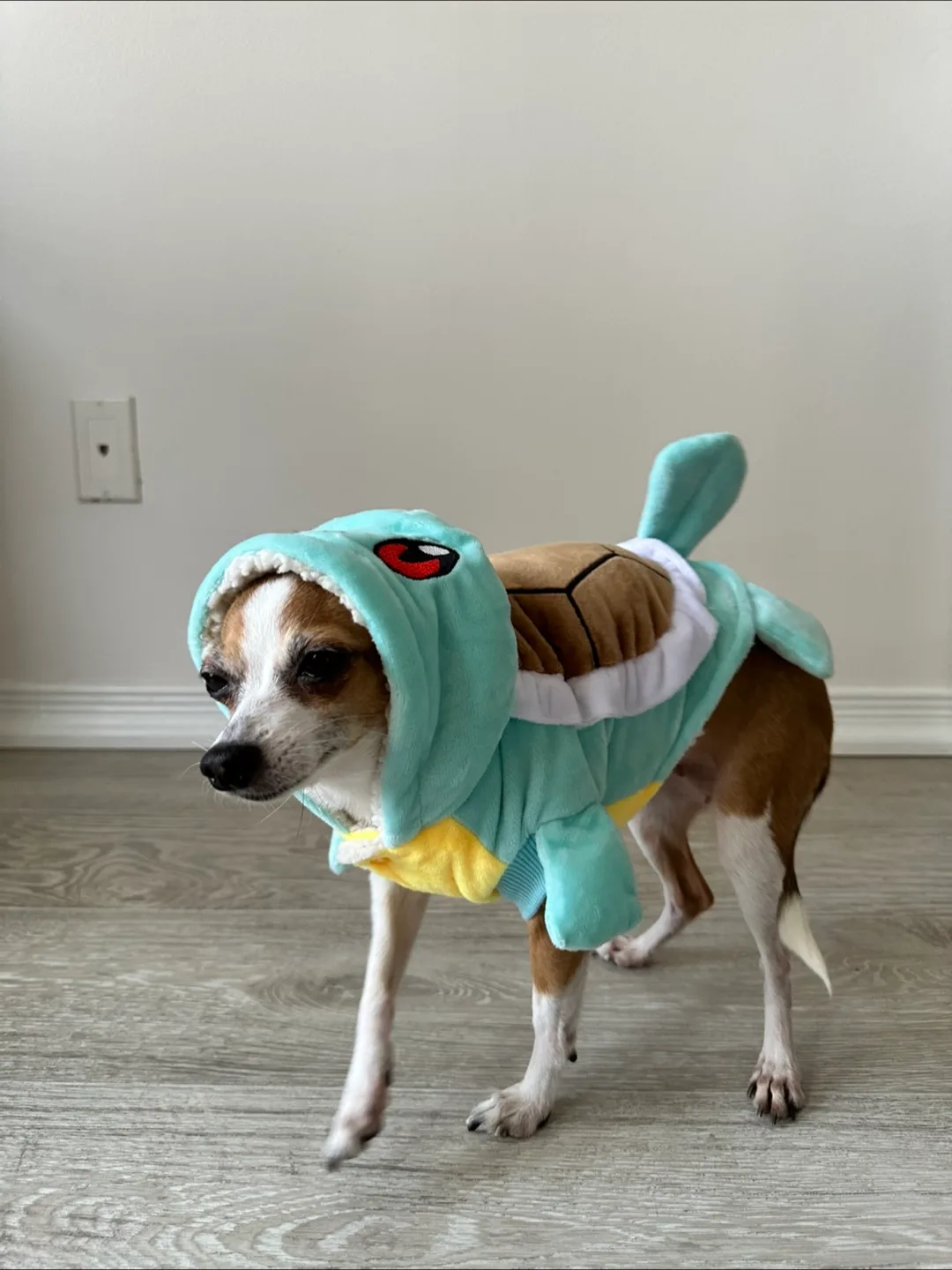 Squirtle Dog Costume image indicator(2)