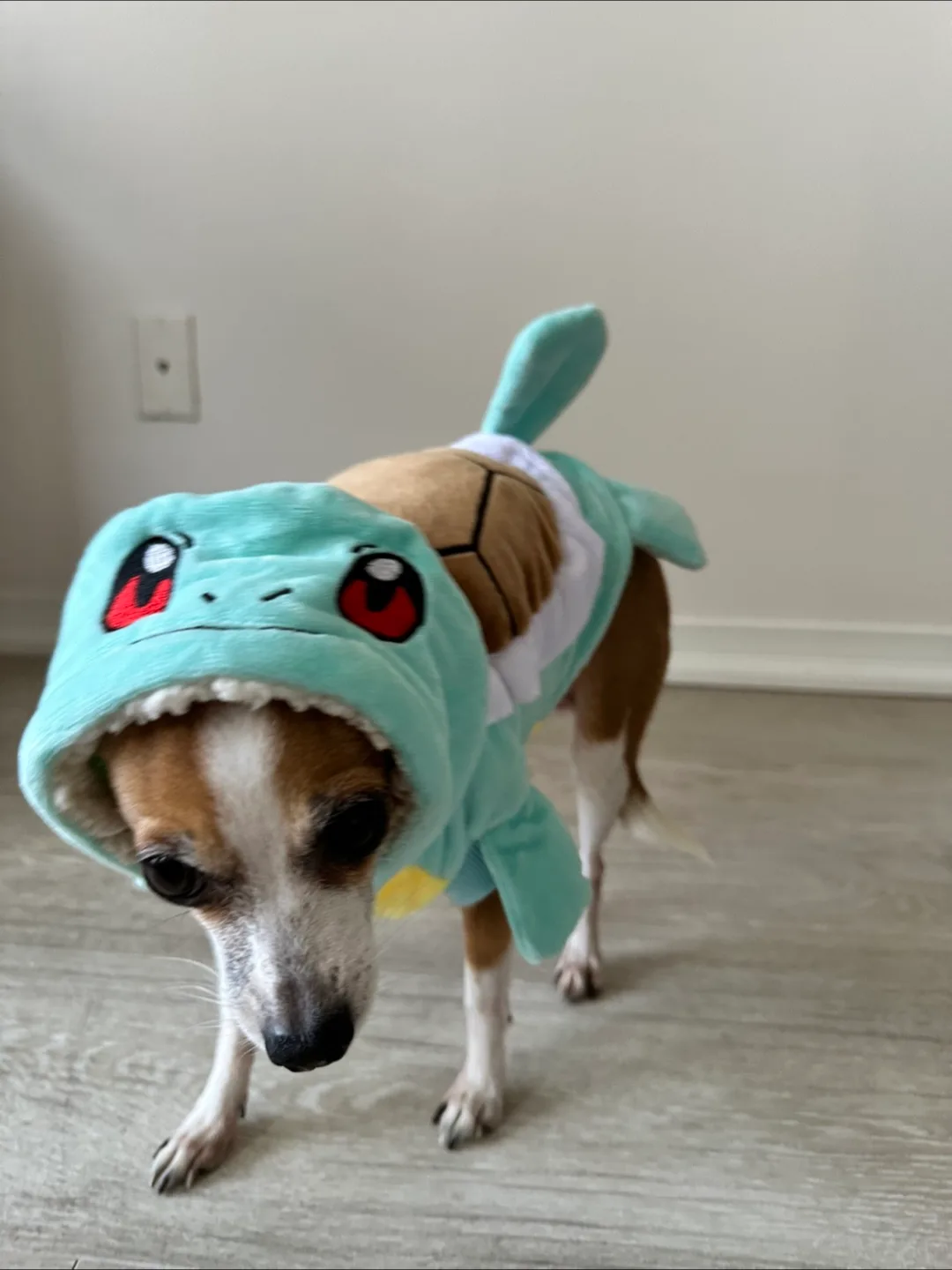 Squirtle Dog Costume image indicator(3)