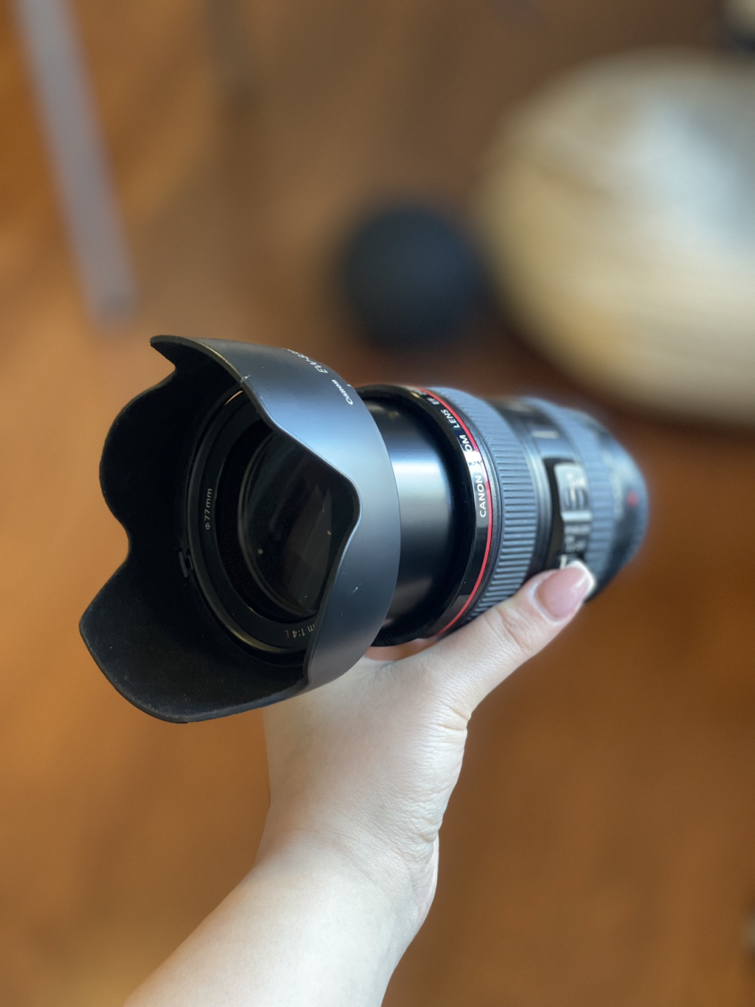 Canon EF 24-105mm f/4L IS USM Lens - photo 3