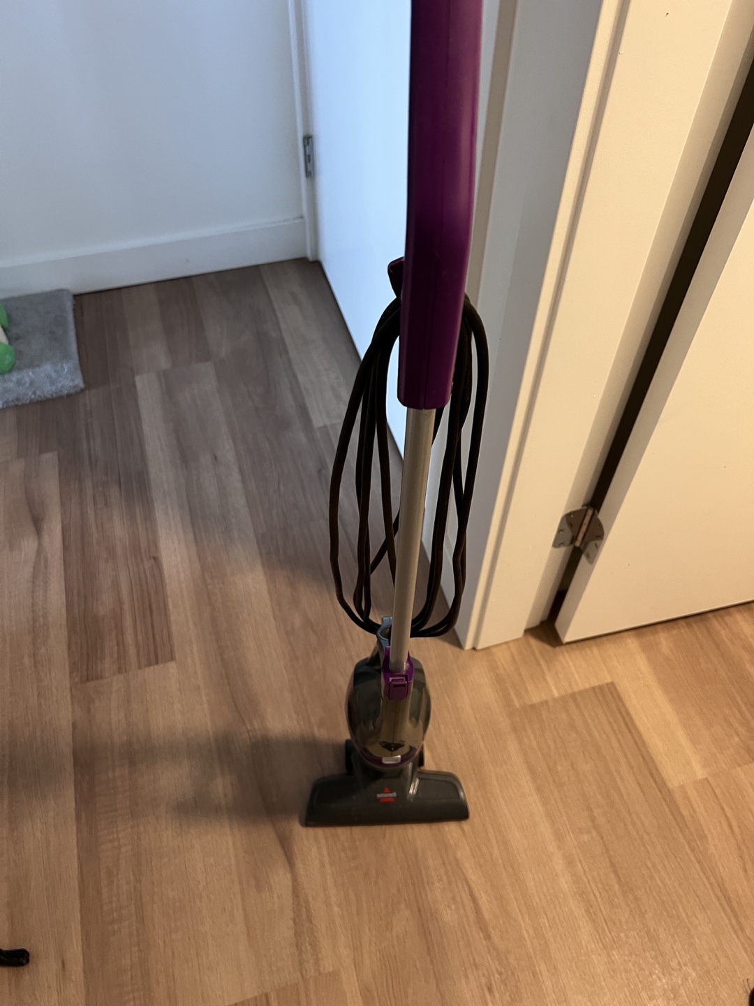 Bissell small vacuum cleaner