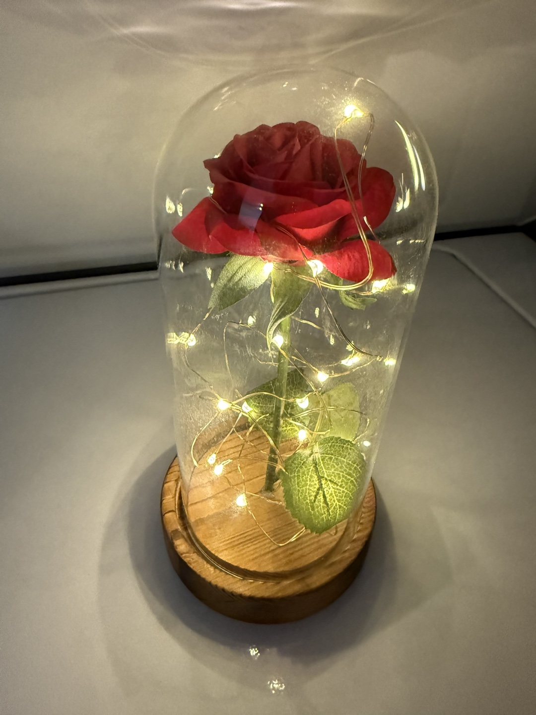Enchanted Rose in Glass Dome with Lights