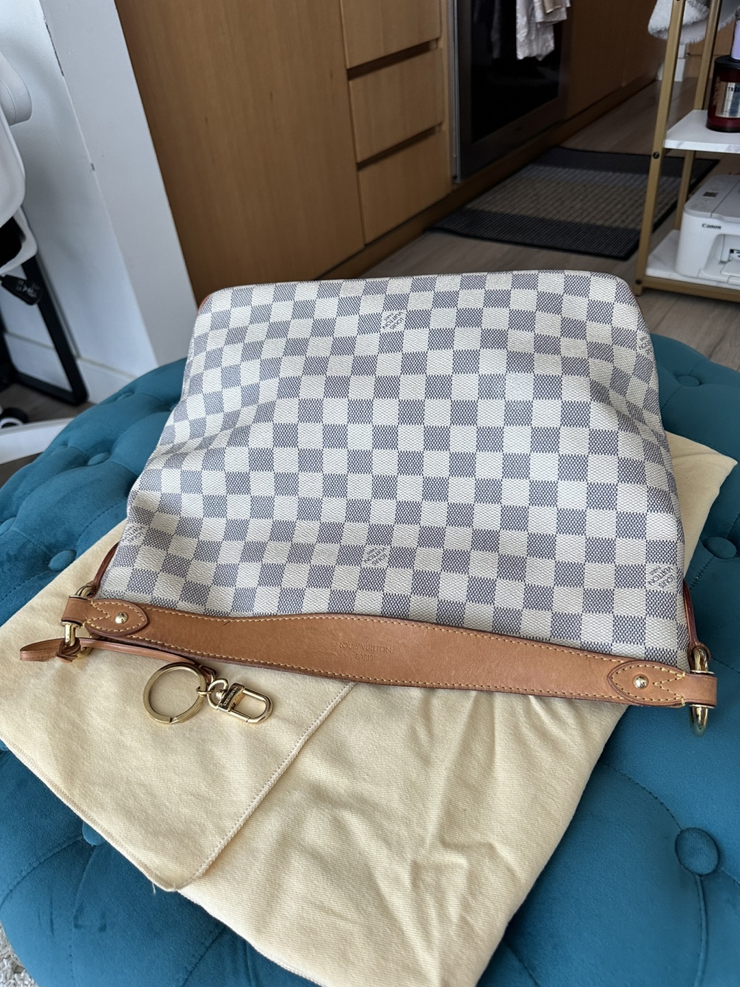 Louis Vuitton Delightful PM - photo 5