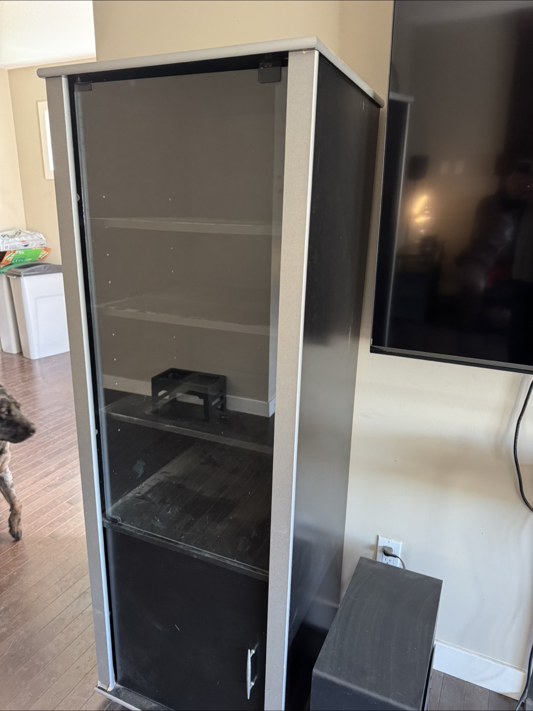 Two Black and Silver Media Consoles