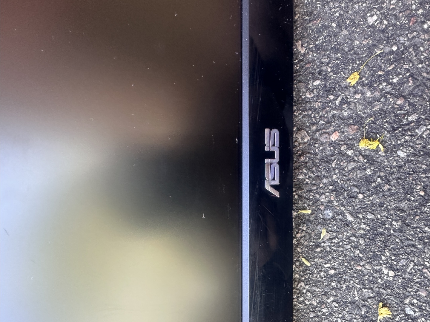 ASUS LCD Monitor - photo 2