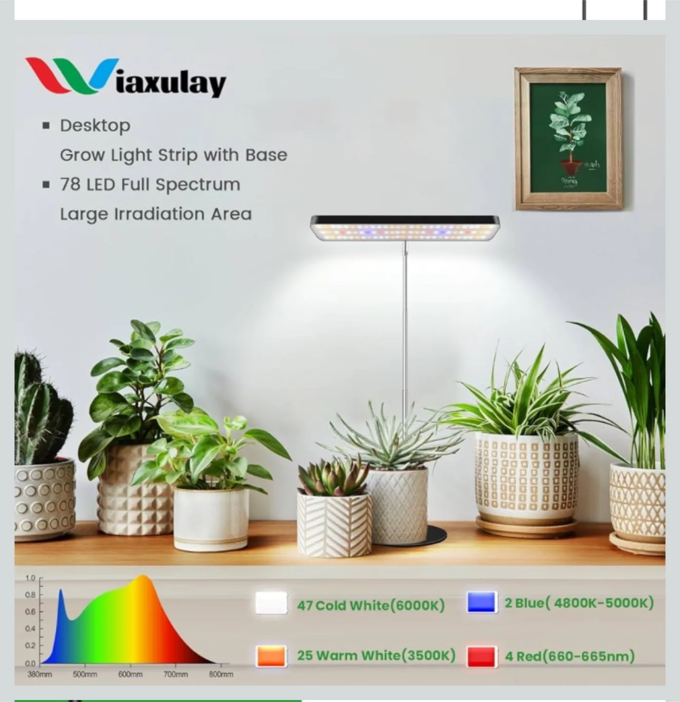 Full Spectrum plant Grow Light Desk Lamp image indicator(2)