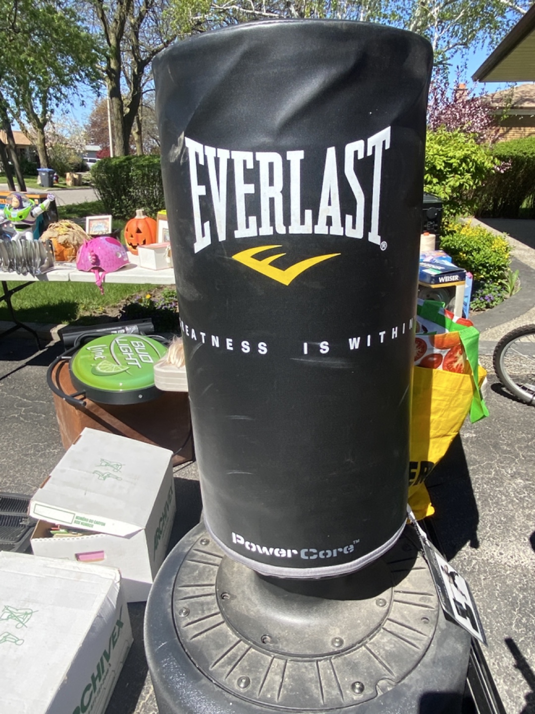 Everlast Powercore Freestanding Punching Bag
