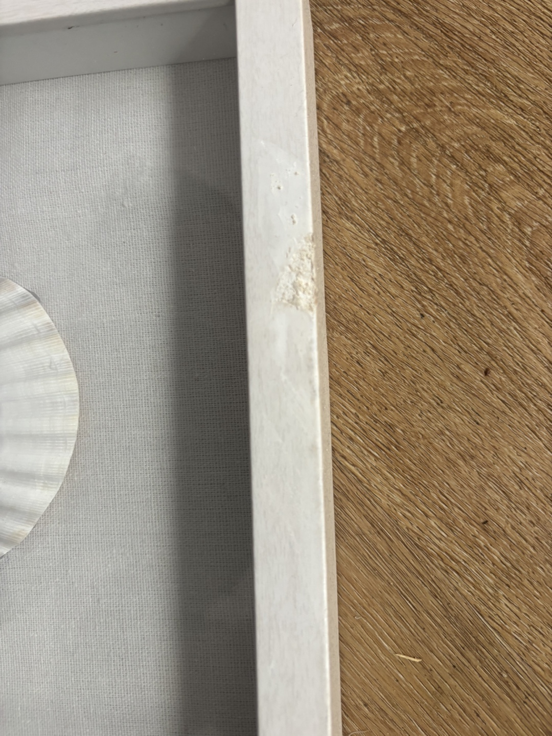 Set of Four Seashell Shadow Boxes - photo 2