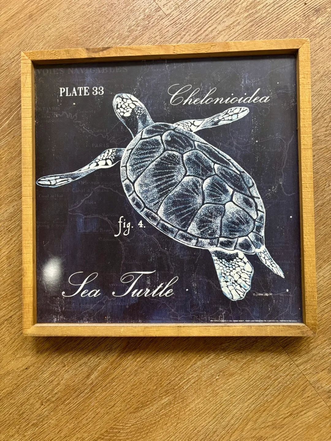 Framed Sea Turtle Print thumbnail