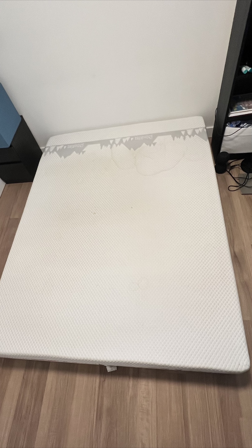 Plush Queen mattress
