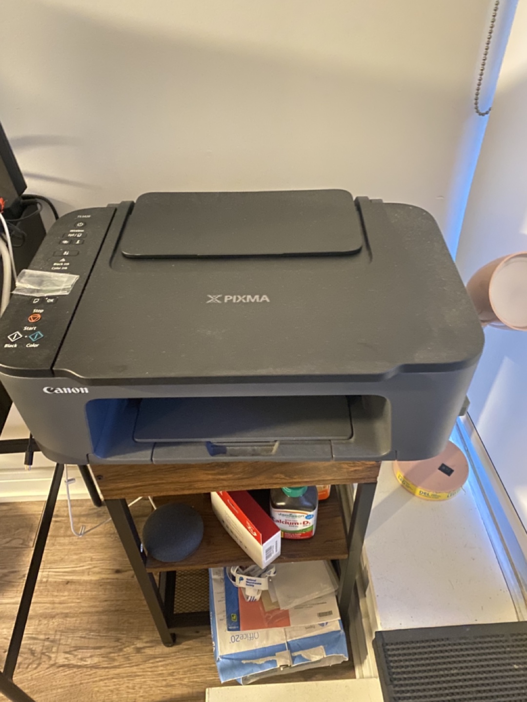 Canon PIXMA TS3420 Wireless Printer