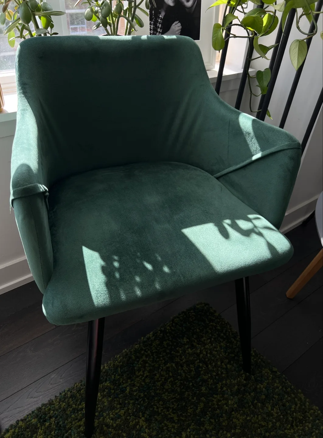 Dark Green Velvet Armchairs thumbnail