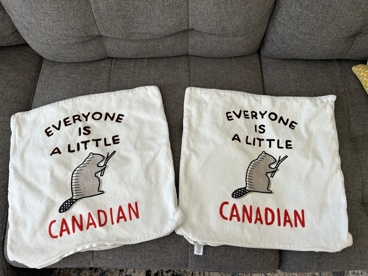 Set of Two Canadian Beaver Throw Pillows thumbnail