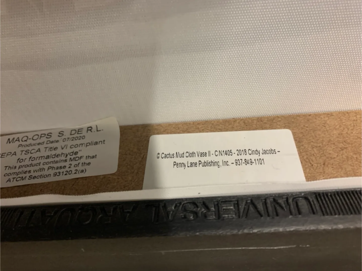 Pair of Succulent Plant Canvas Wall Art Paintings image indicator(2)