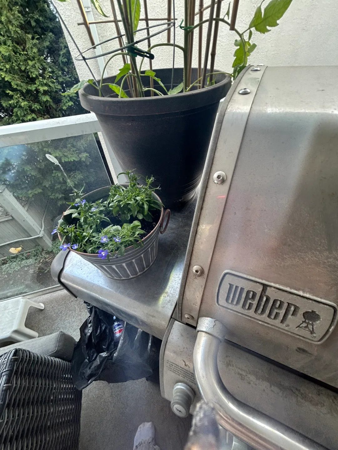 Weber Genesis II three-burner propane BBQ image indicator(4)