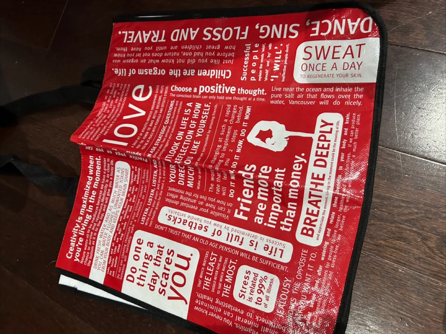 Vintage lululemon bags image indicator(10)