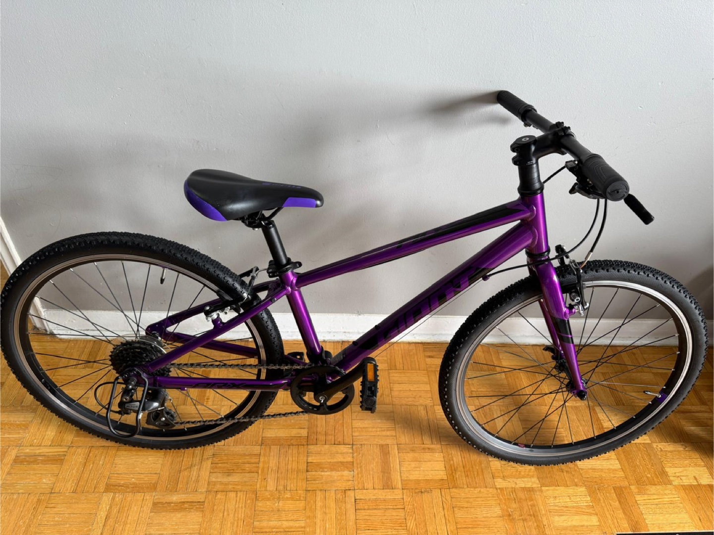 Giant ARX”24” Kids' Bike - photo 2