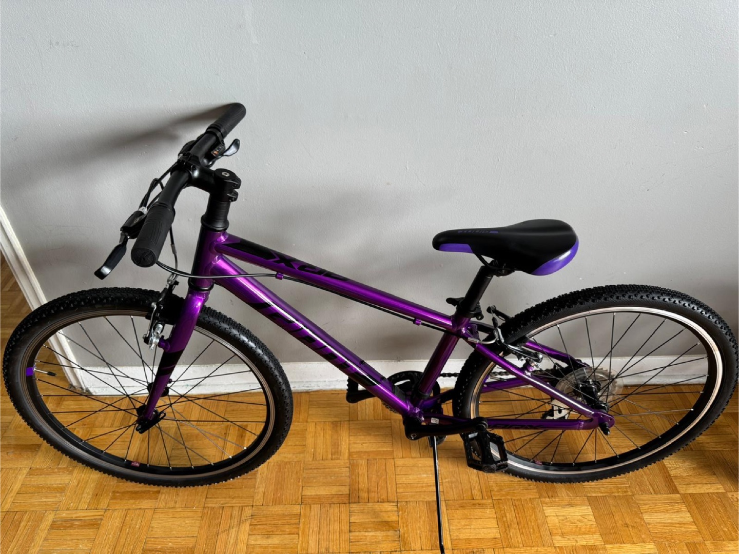 Giant ARX”24” Kids' Bike - photo 3