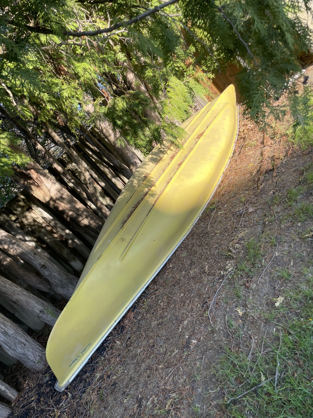 Hunter canoe 16’ with paddles