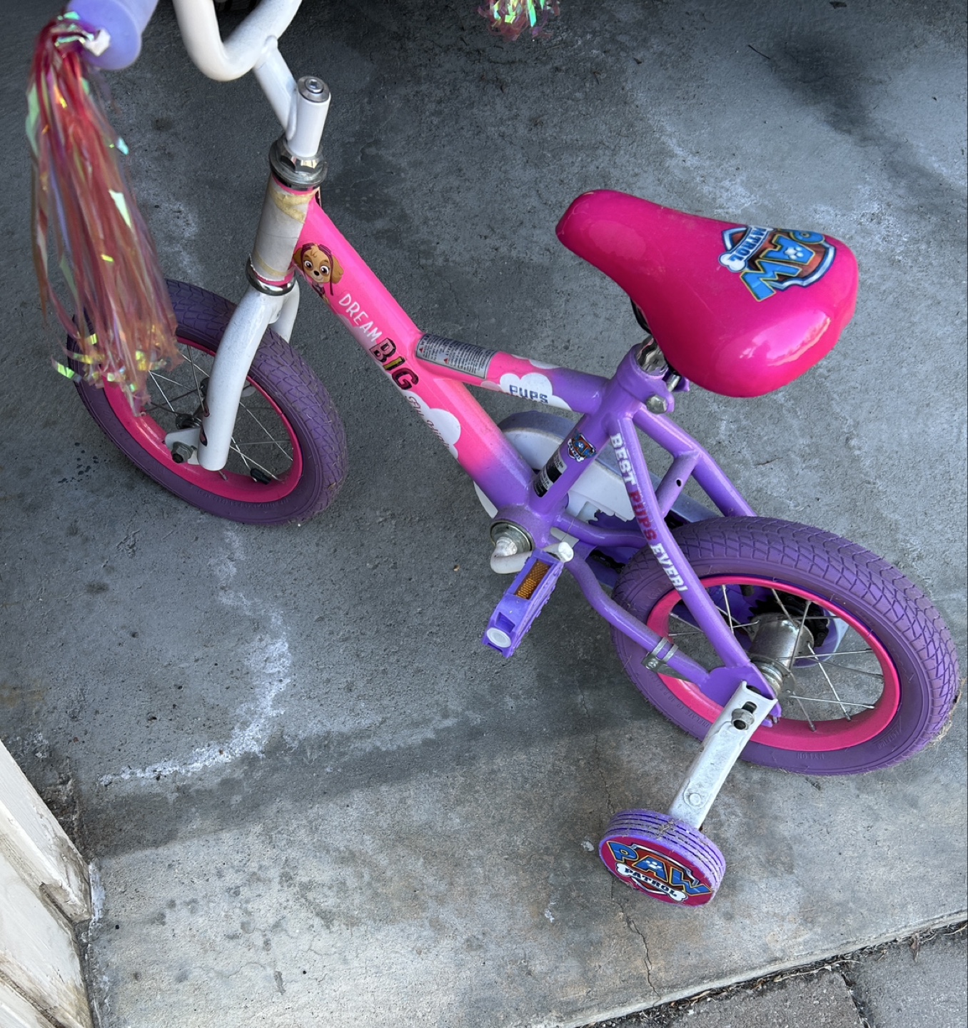 Paw Patrol Girls' Bike with Training Wheels