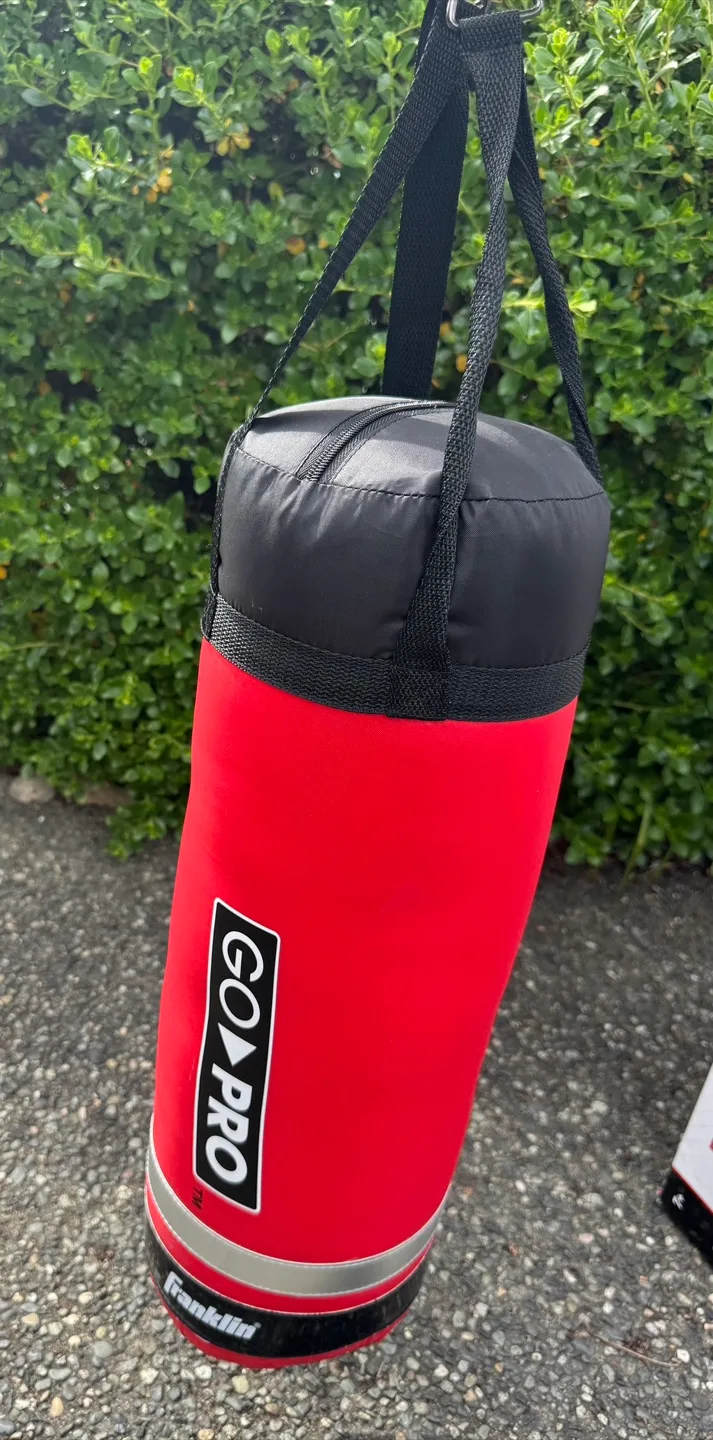 Franklin: Heavy Bag and Glove Set image indicator(5)