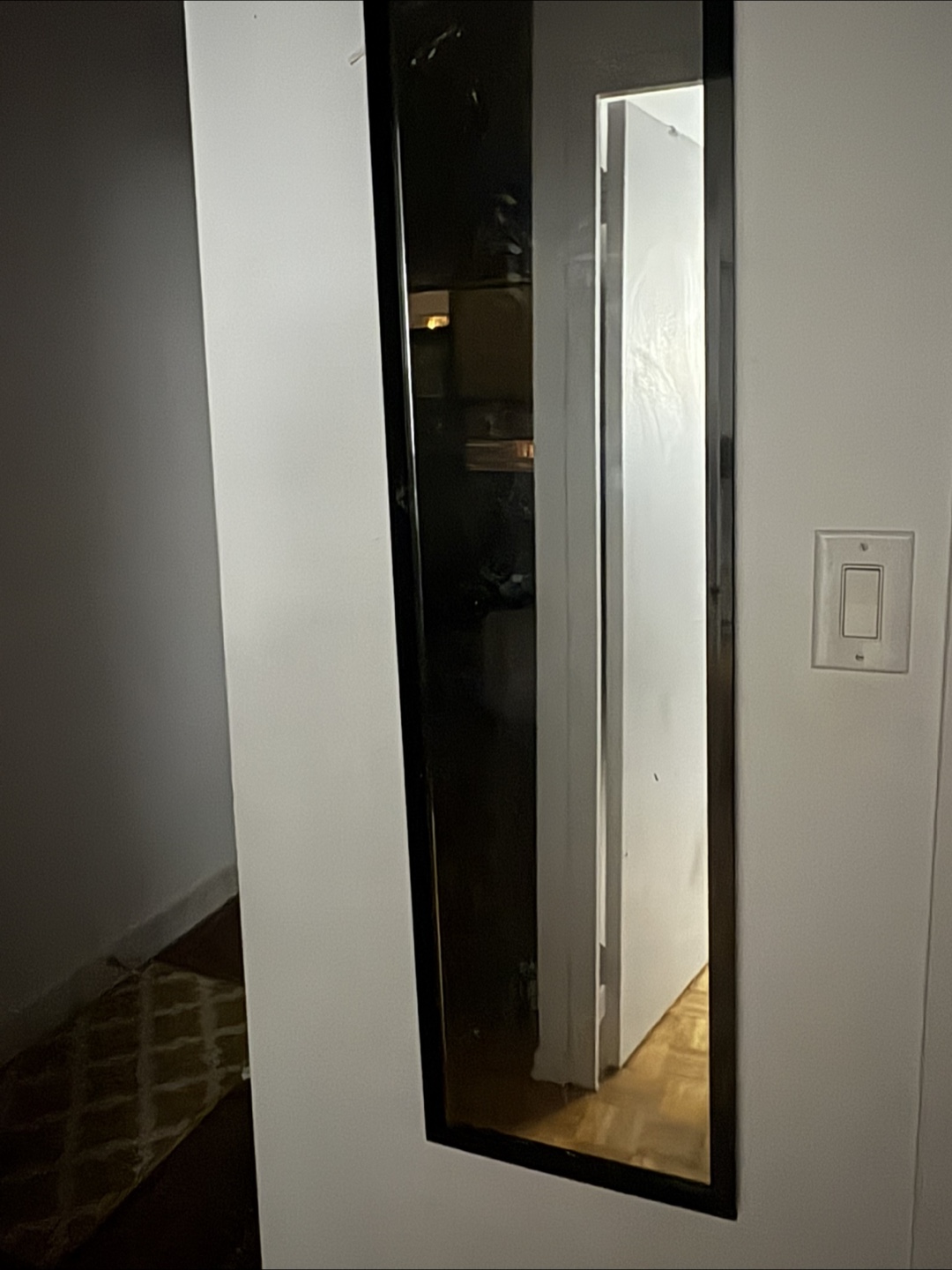 Free Full Length Mirror - Black Frame - photo 2