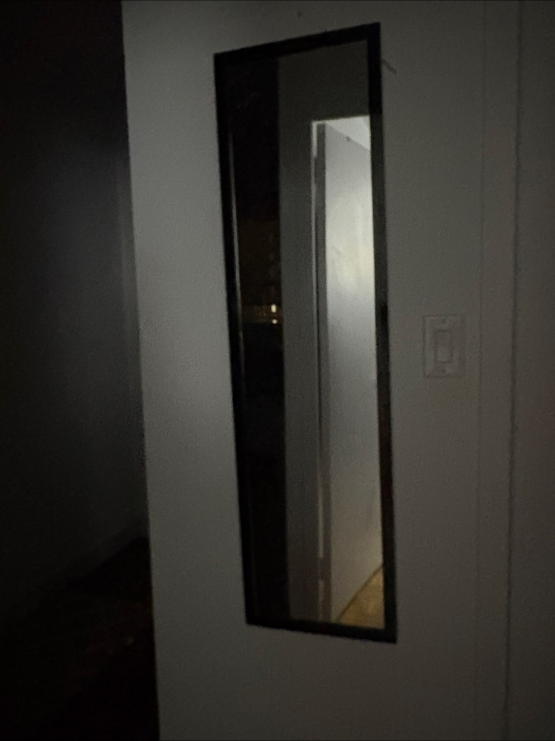 Free Full Length Mirror - Black Frame