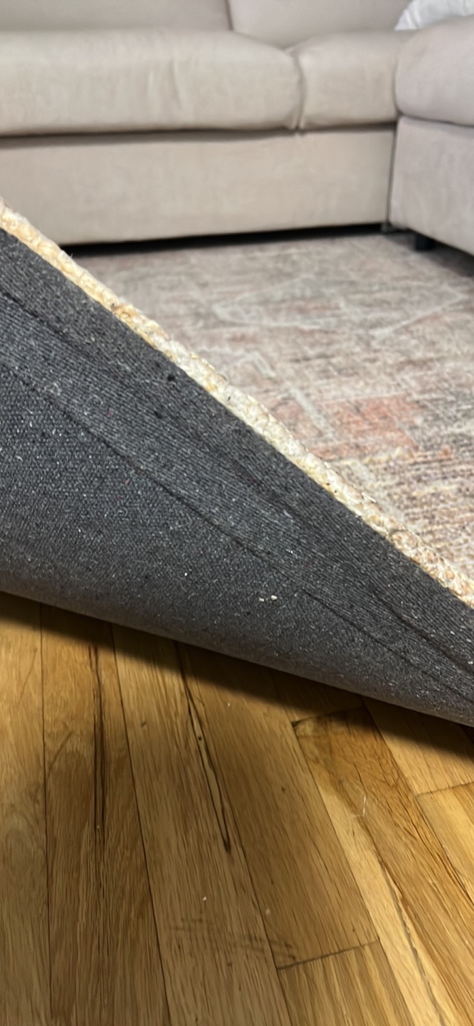 West Elm Zahari Rug (Beige/Pink) - photo 3
