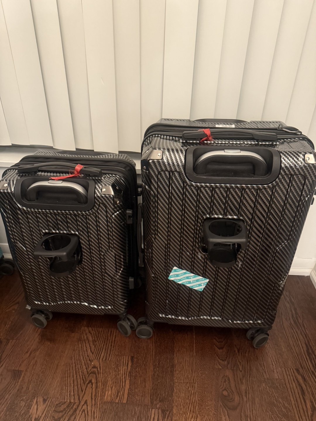 RUSH! BLACK Carry-on & Checked Luggage Set