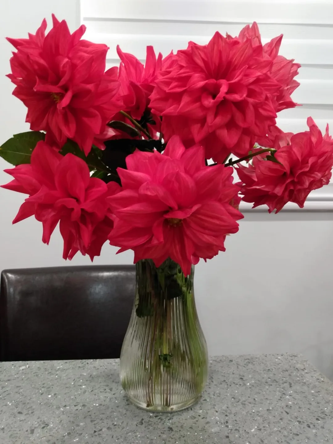 Beautiful Red Dahlias image indicator(2)