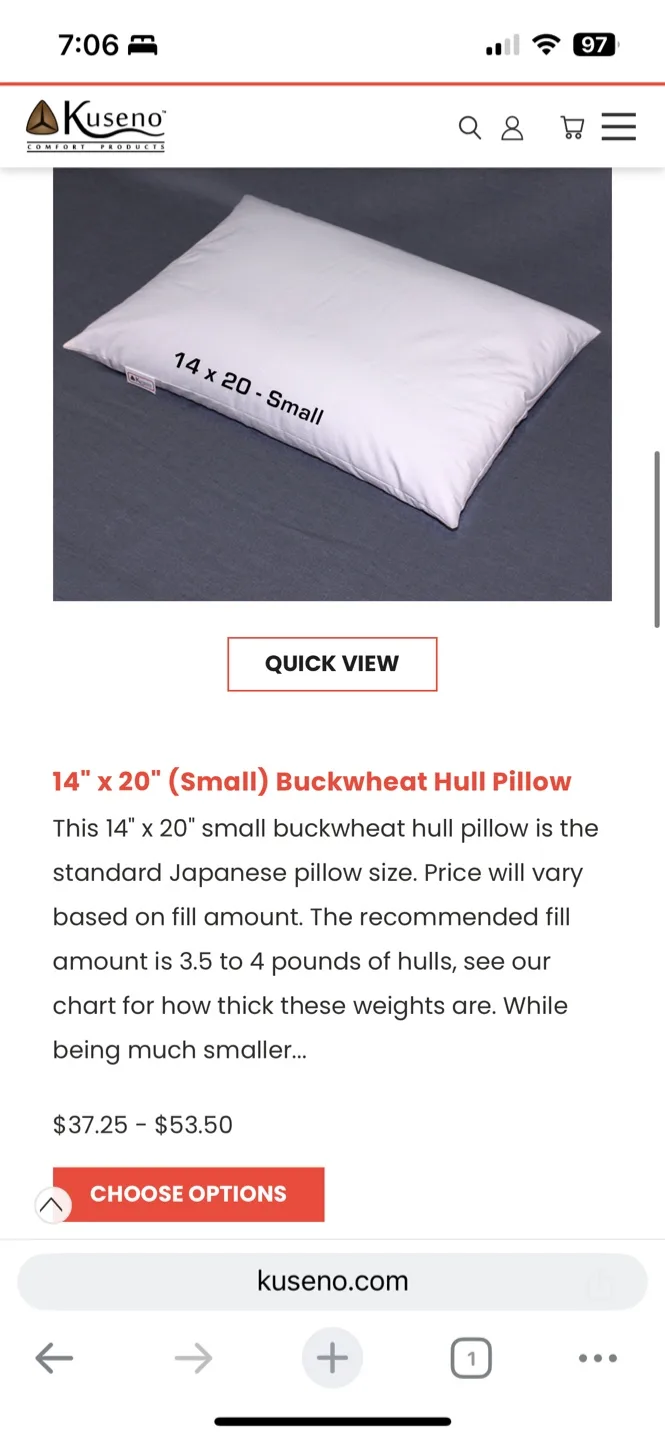 Traditional Japanese Buckwheat Hull Pillow 14" x 20" image indicator(8)