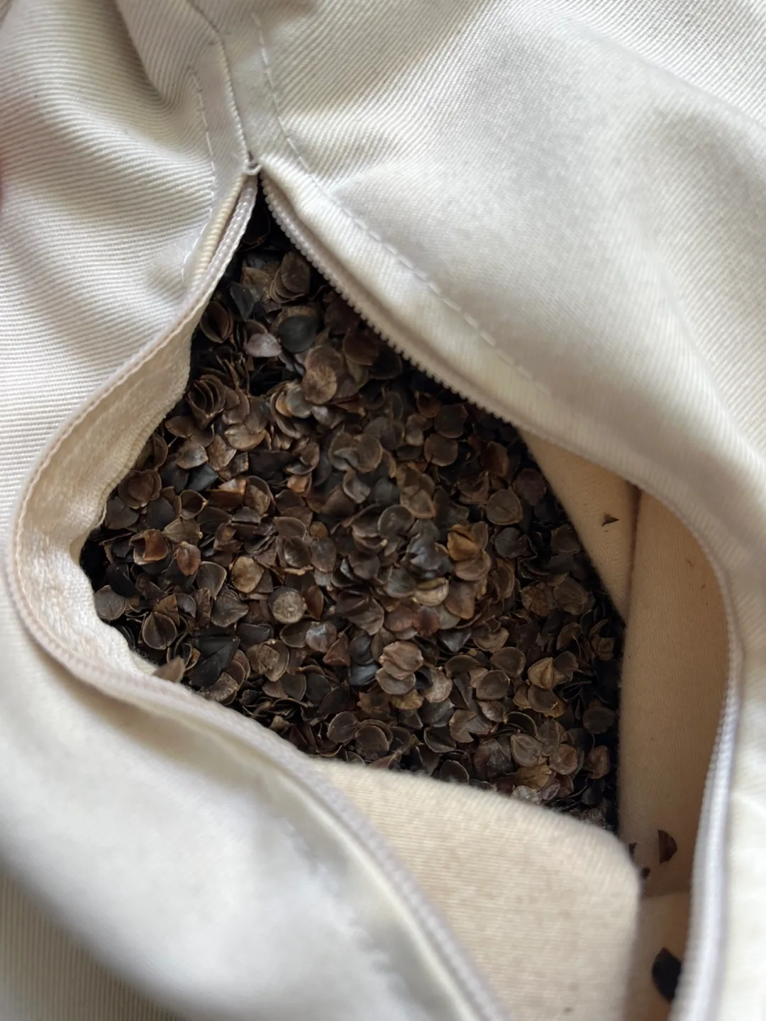 Traditional Japanese Buckwheat Hull Pillow 14" x 20" image indicator(7)