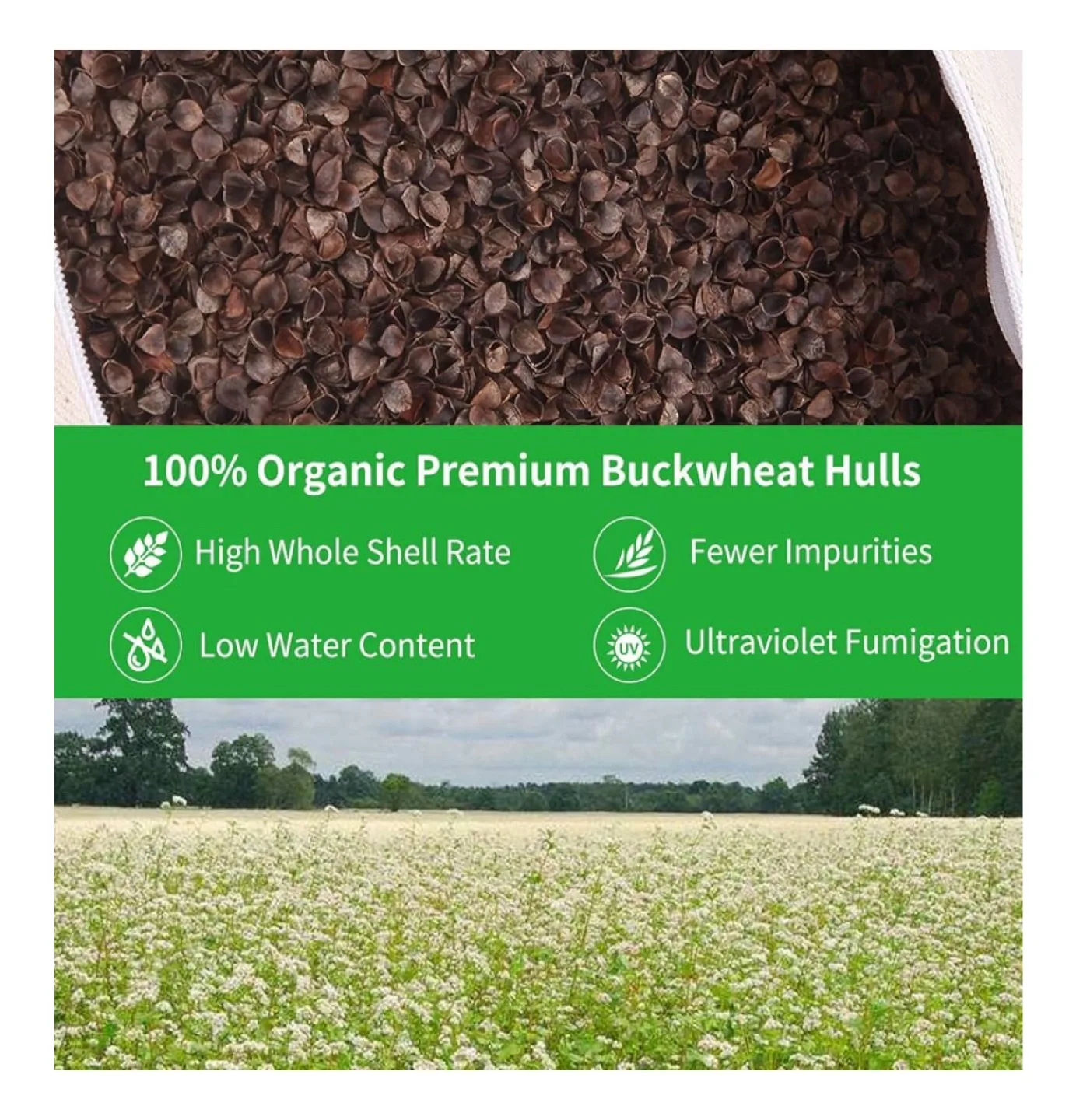 Traditional Japanese Buckwheat Hull Pillow 14" x 20" image indicator(3)