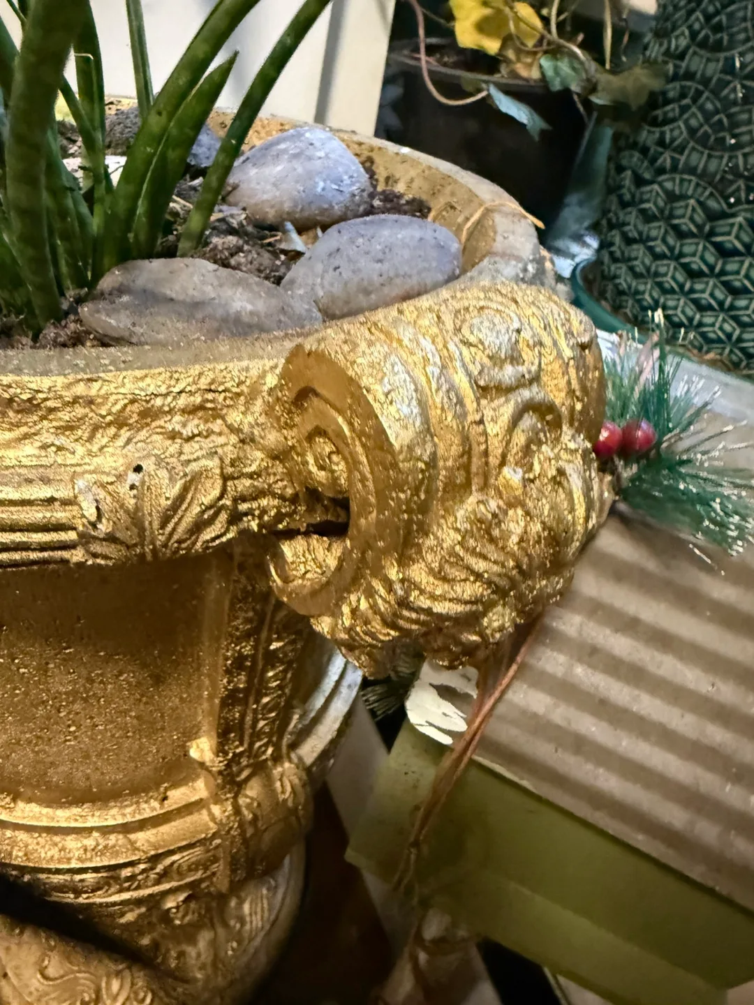 Gold Urn Planter with Snake Plant image indicator(4)