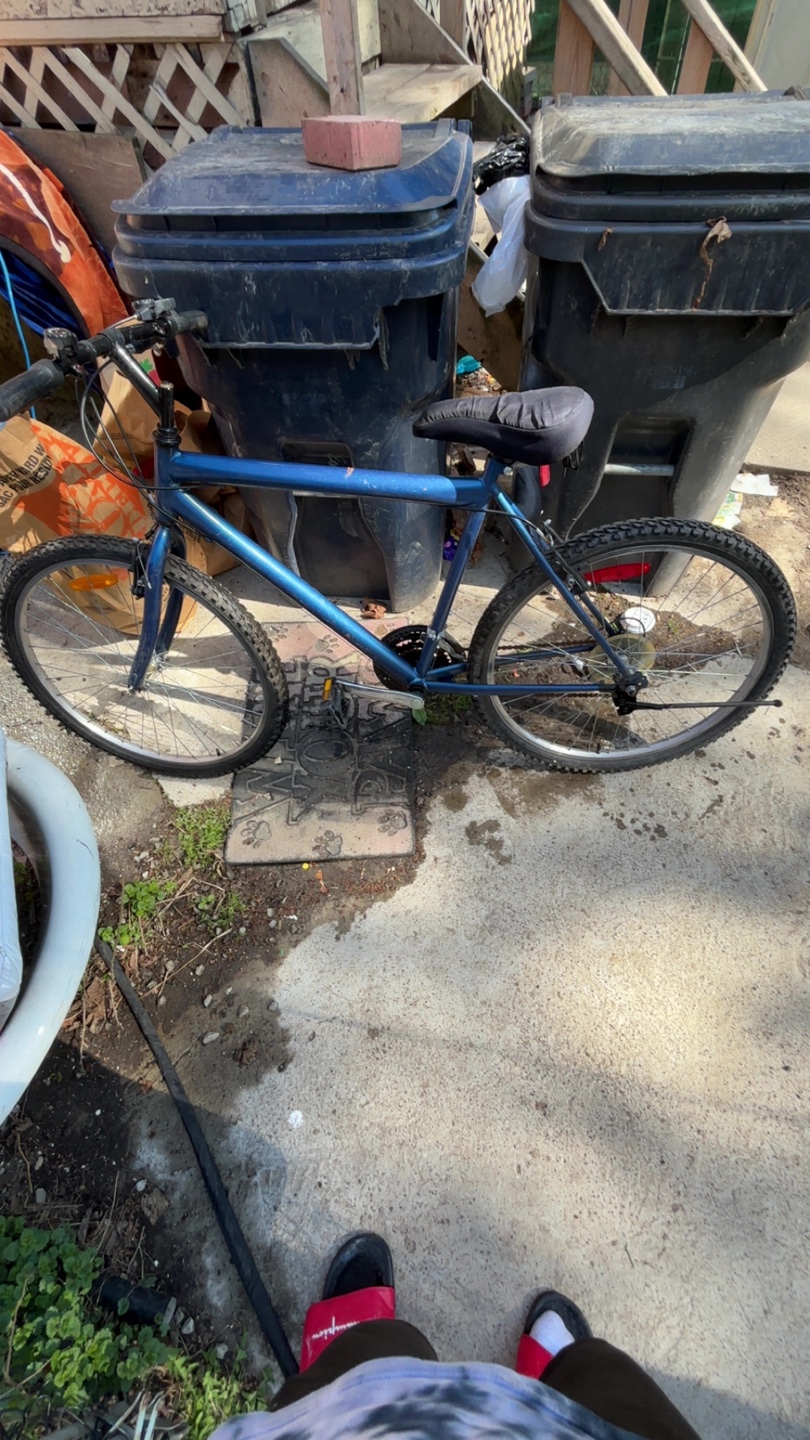 Men's Blue Mountain Bike