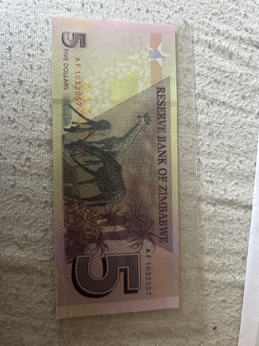 Zimbabwe Banknotes - $2 and $5 - Uncirculated - photo 5