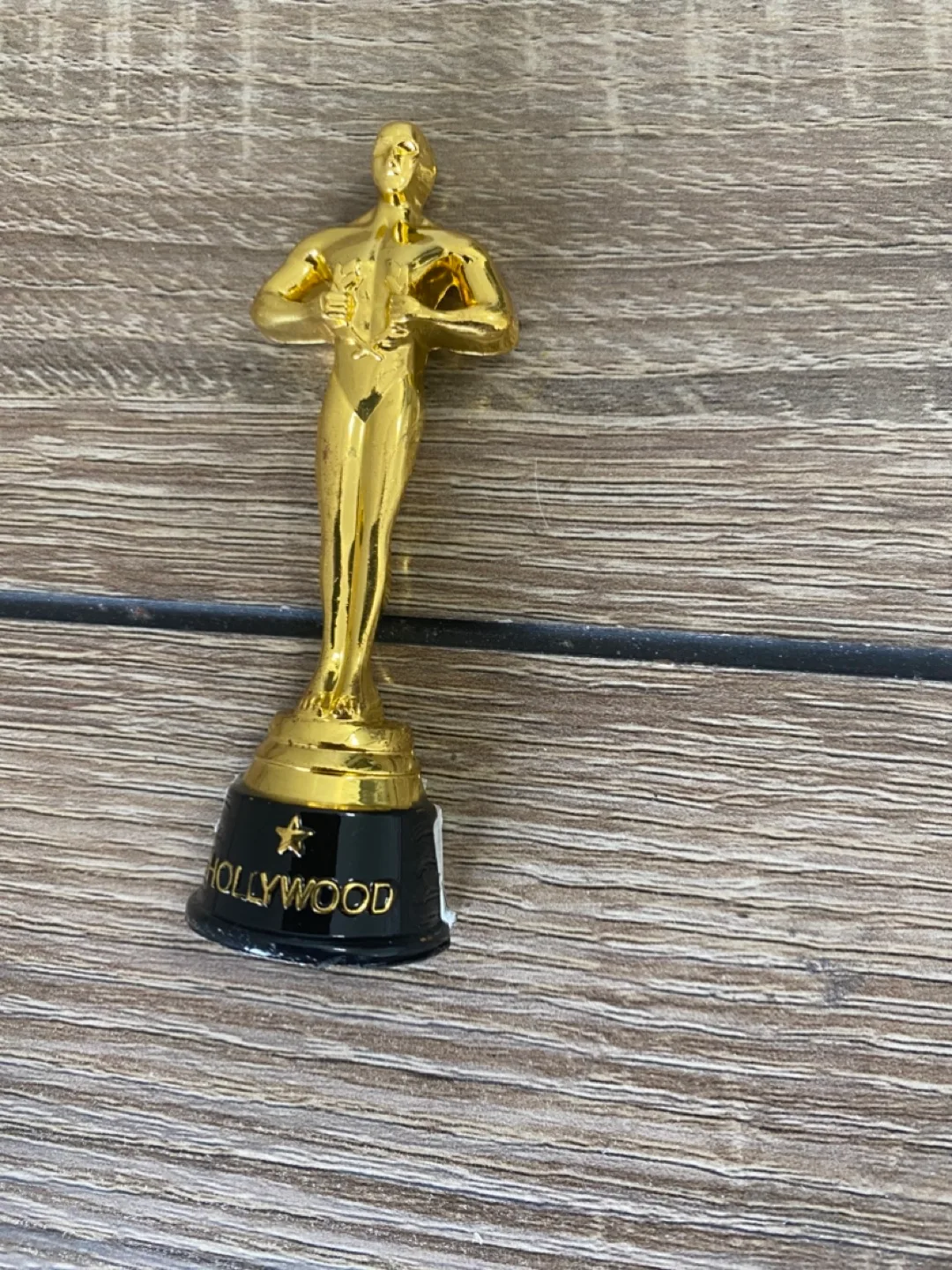 🏒Hollywood Golden Figurine Award thumbnail