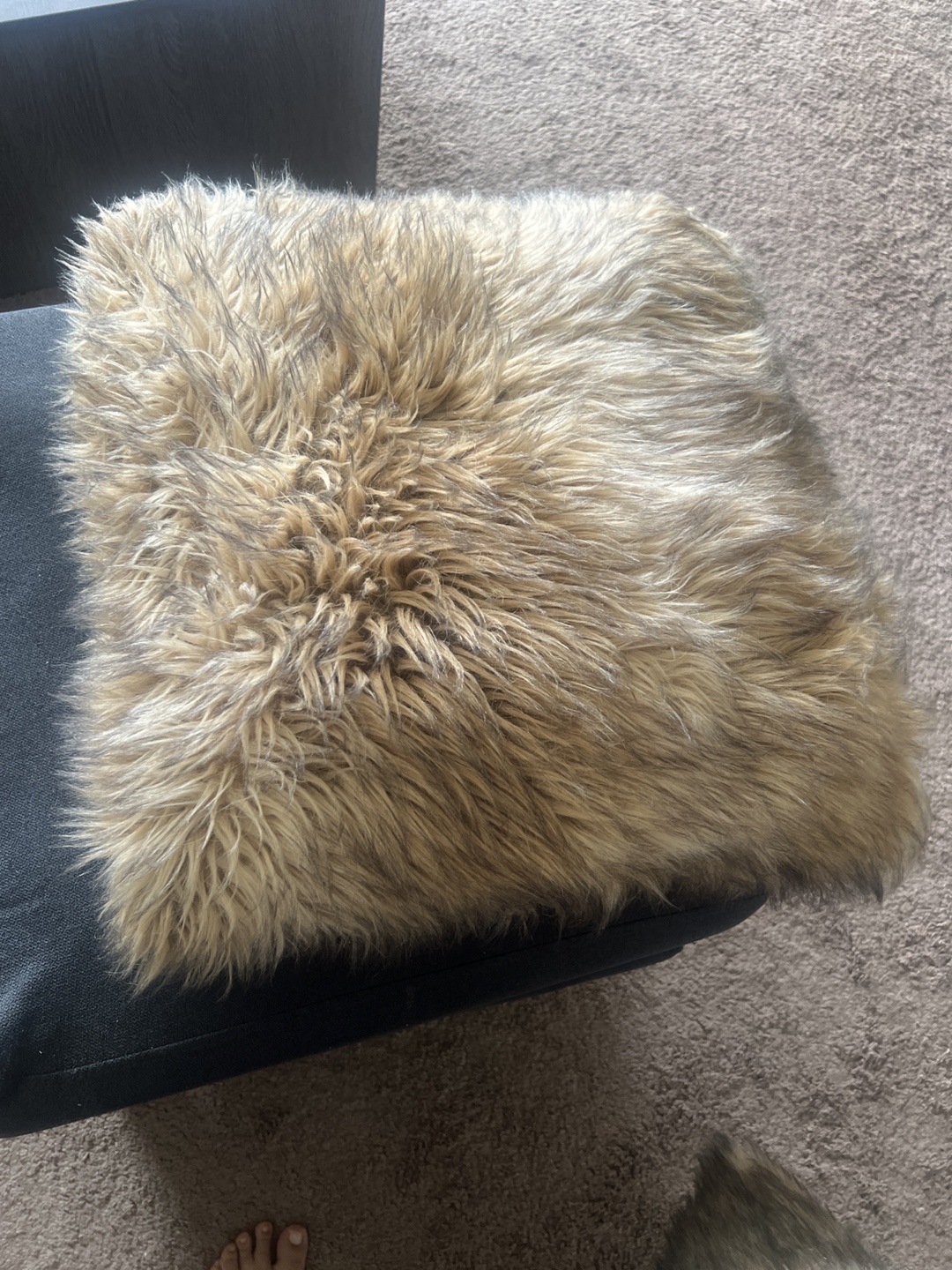 Two Faux Fur Throw Pillows