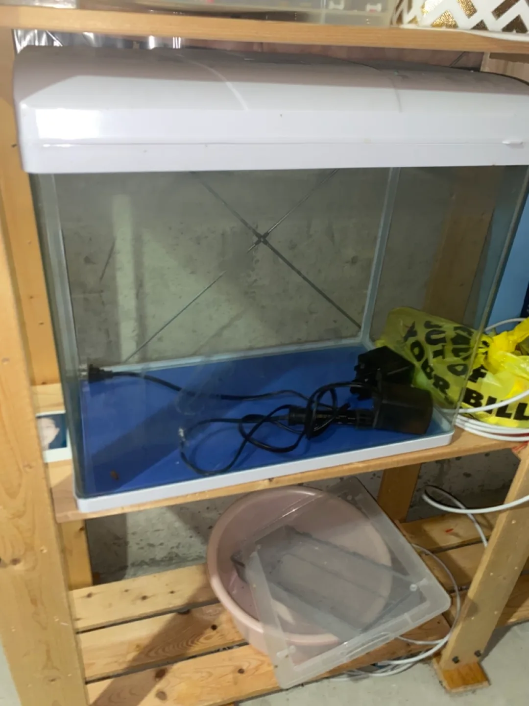 Medium sized Fish Tank with Filter image indicator(2)
