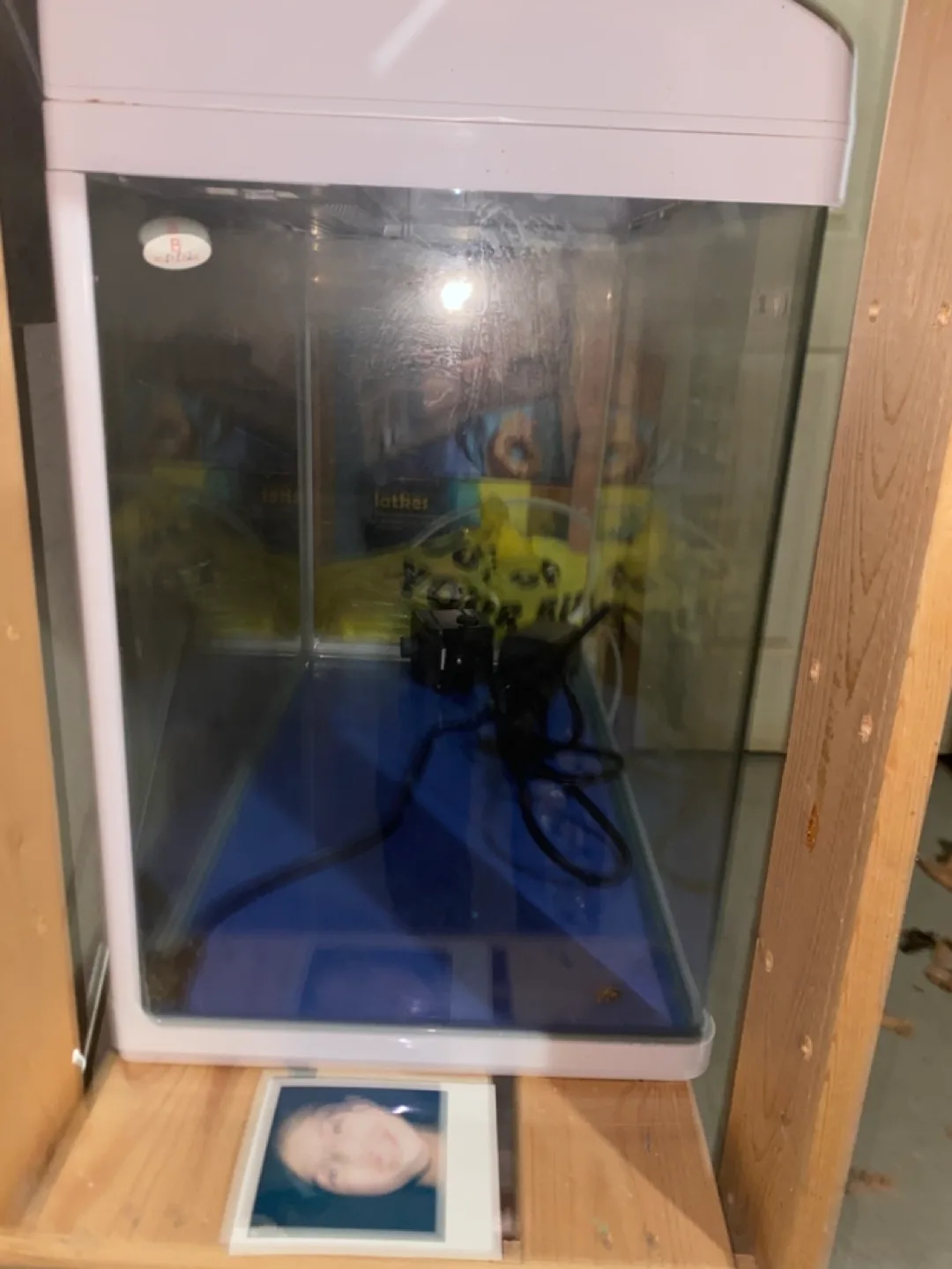 Medium sized Fish Tank with Filter image indicator(3)